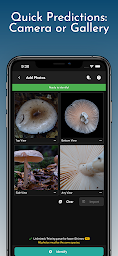 ShroomID - Identify Mushrooms!