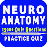 Neuroanatomy Quiz icon