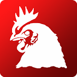 Titan Chicken icon