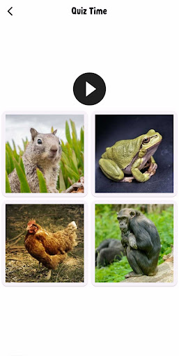 Animal Sounds Screen 2