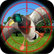 Top 27 Sports Apps Like Duck Hunting calls - Best Alternatives