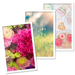 Cover Image of Download WALL!：Free HD Wallpapers 1.2.36 APK