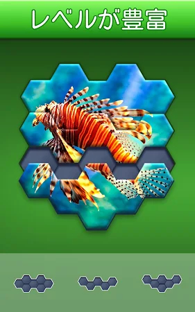 Game screenshot Hexa Jigsaw Puzzle ® hack