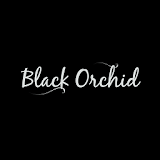 Black Orchid Hair Studio icon