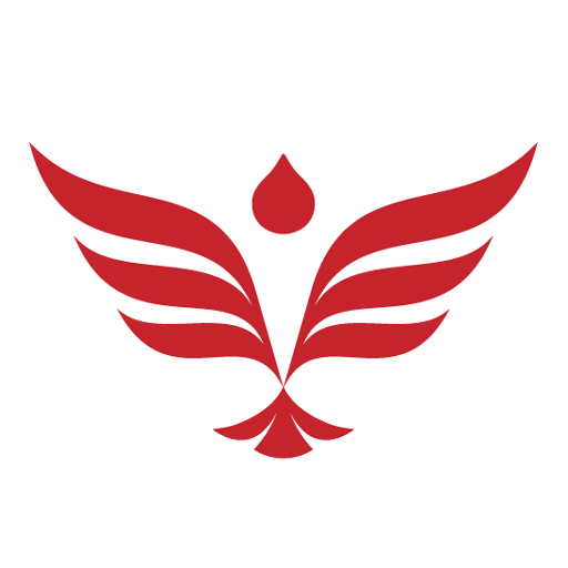 IAE logo