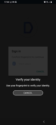 DECTA Secure Screen 2