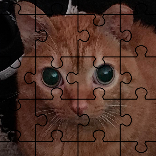 Catato The Puzzle logo