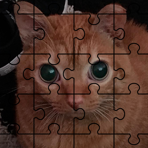 Catato The Puzzle