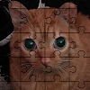 Catato The Puzzle icon