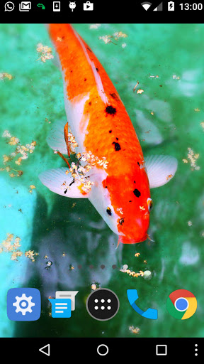 carp fish wallpaper Screen 2