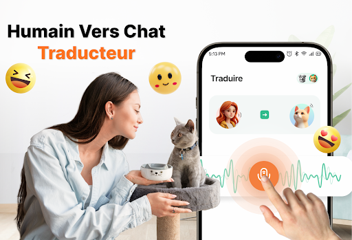 Aperçu de l'application