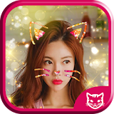 Cat face filters Photo&sticker icon