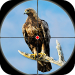 Cover Image of Download Desert Birds Sniper Shooter 3D  APK