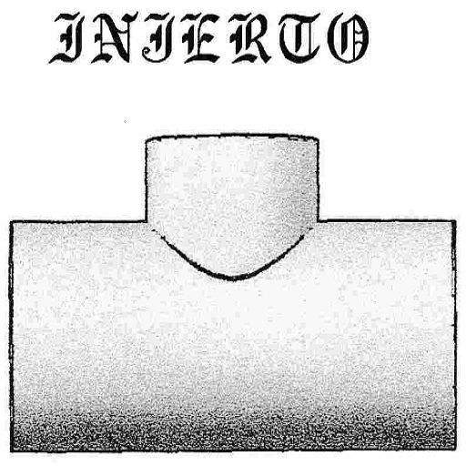 INJERTO A 90 logo