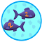 IraShru Developers - Game 2