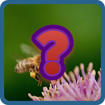Cover Image of Download Guess and Learn Animals names  APK