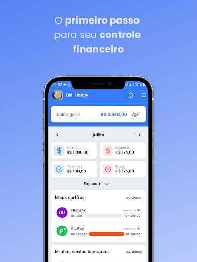 Saldo Positivo - Despesas Screenshot