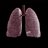 Grade 12 Biology: Respiratory icon