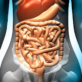 Gastrointestinal System icon