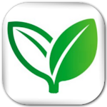 Cover Image of 下载 Home Remedies (Lite)  APK