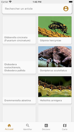 VigiHorti Screen 2