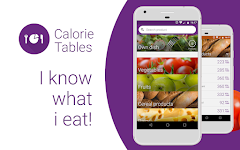 screenshot of Calorie counter