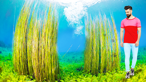 Android application Underwater Garden Photo Frames screenshort