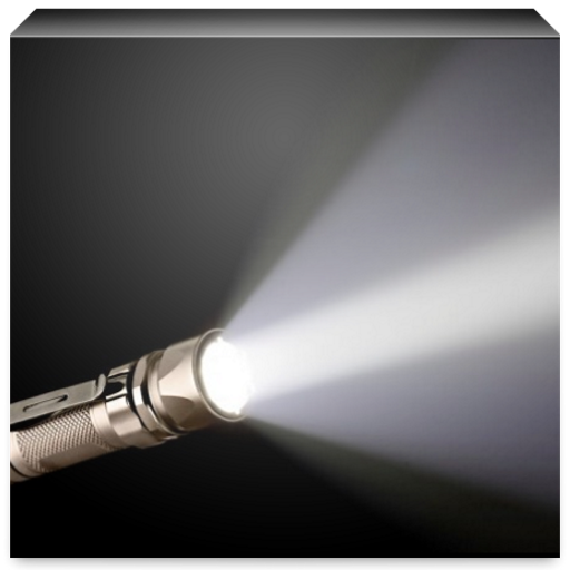 Bright Flashlight and Bulb logo