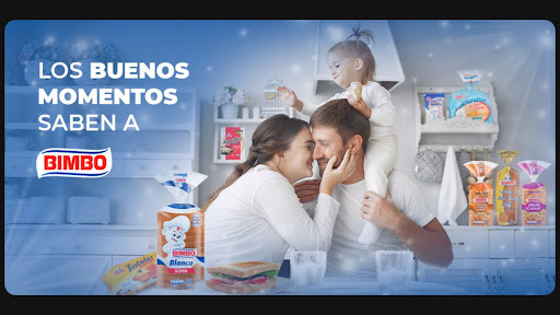 TVAds Llamozas Screen 2