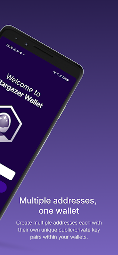 Stargazer Wallet Screen 2