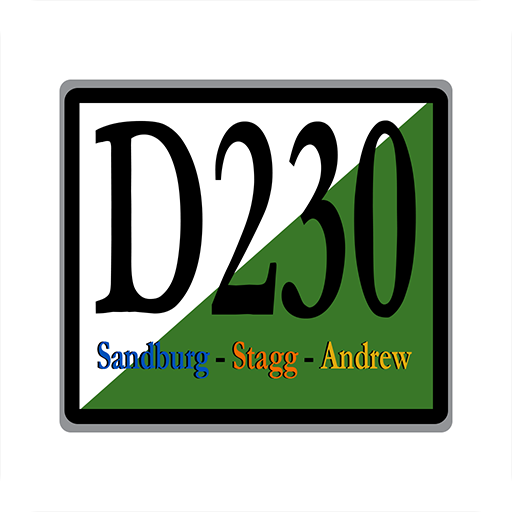 Consolidated HS District 230 logo