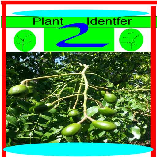Plantidentifier2 logo