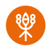 App Details Logo