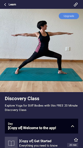 Lizette Rau Yoga Screen 3