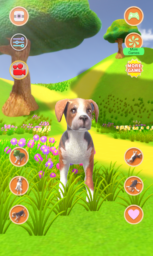 Android application Talking Dog Crazy screenshort