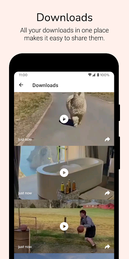 Screenshot of Video Downloader for Reddit