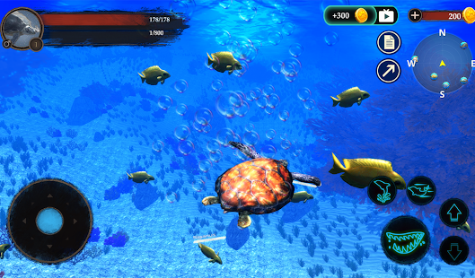 The Turtle screenshots 13