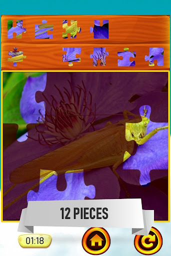 Cricket Jigsaw Puzzle