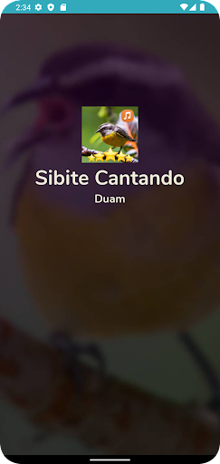 Android application sibite cantando e chamando screenshort