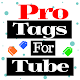Tags For Tube Pro SEO Keywords Generator For Video Download on Windows
