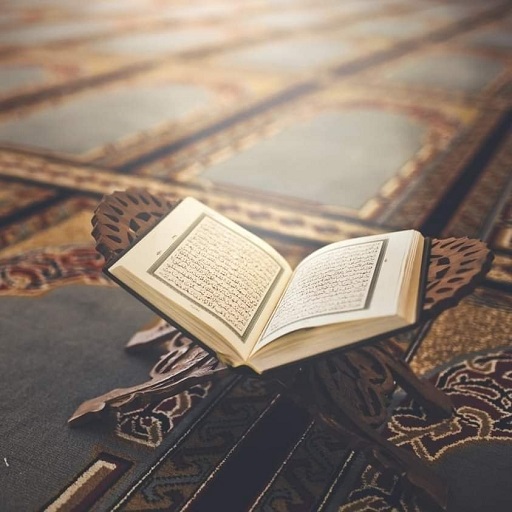 Quran Grammar and More