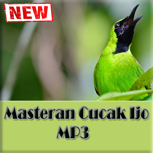 Suara Cucak Ijo MP3 Masteran