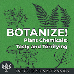 Icon image Plant Chemicals: Tasty and Terrifying