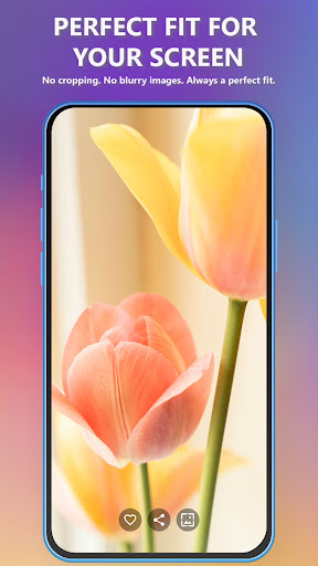 Flower & Garden Wallpaper Screenshot 3 - AppWisp.com