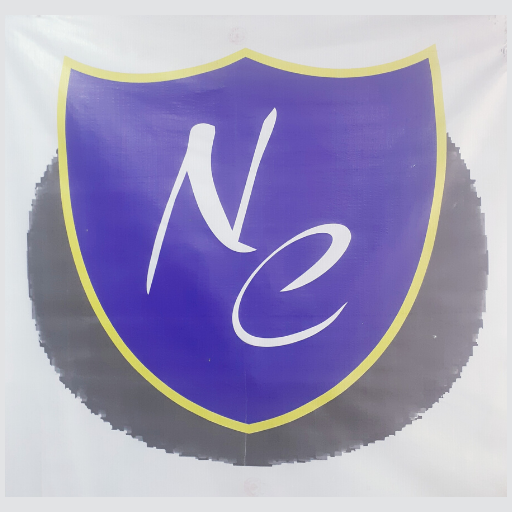 Nucleus Classes Kakadeo Kanpur logo