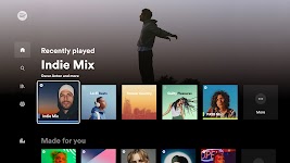 screenshot of Spotify - Music and Podcasts