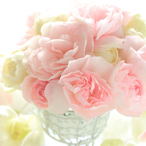 배경화면 Flower Wallpaper 꽃 Windows에서 다운로드