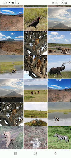 Photo Gallery with Editor Screen 3
