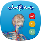 Human Anatomy AR icon