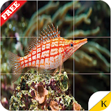 Ocean Life - Tiles Puzzle icon
